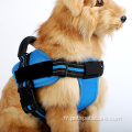 Faisceau de gilet pour chiens de promenade en plein air personnalisé Easy Walk